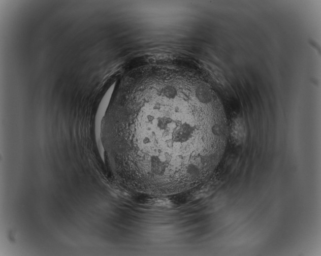 X0000097870715200803281201