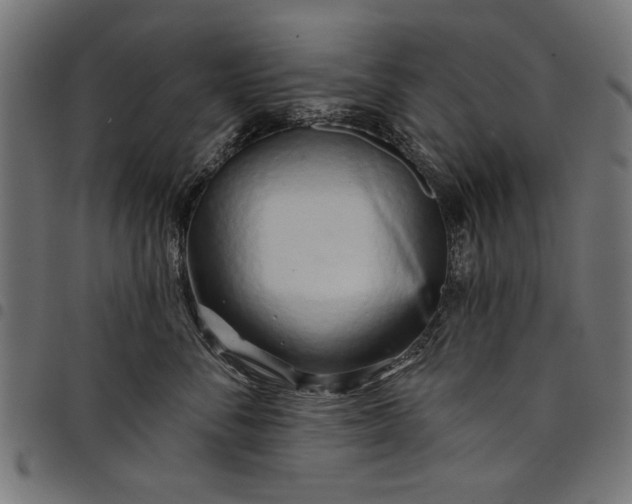 X0000097870716200803281201