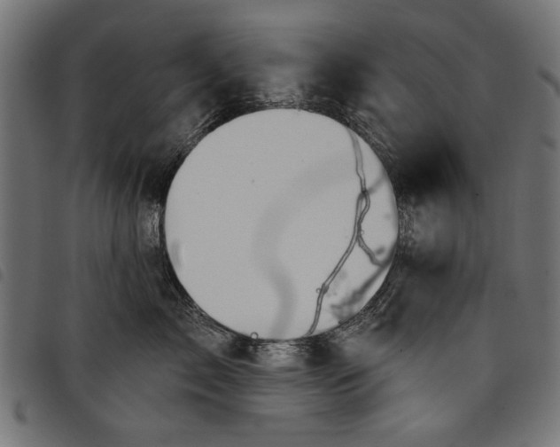 X0000097870717200803281201