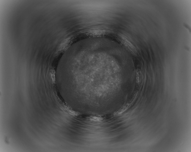 X0000097870718200803281201