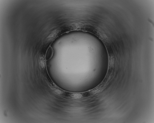 X0000097870719200803281201