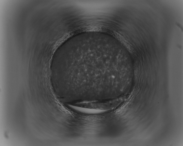 X0000097870721200803281200