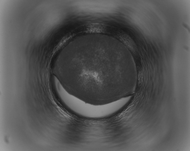 X0000097870722200803281200