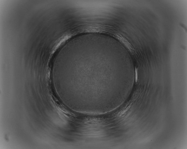 X0000097870723200803281200