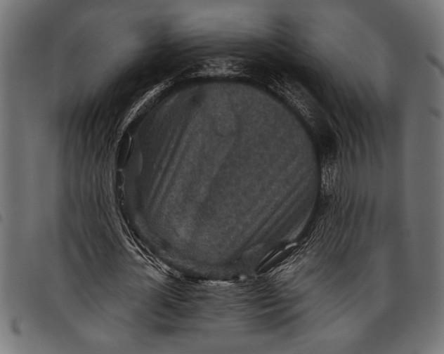 X0000097870724200803281200