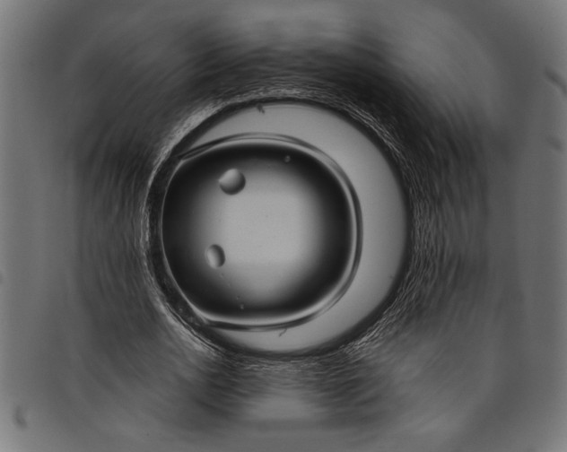 X0000097870726200803281200