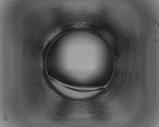 X0000097870727200803281200