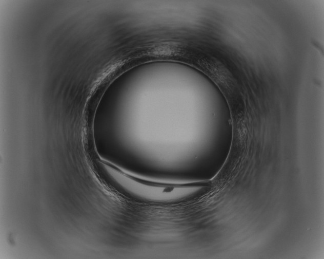 X0000097870728200803281201