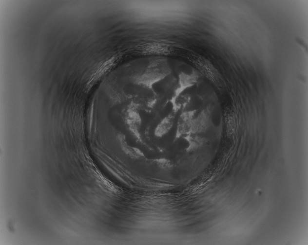 X0000097870729200803281201