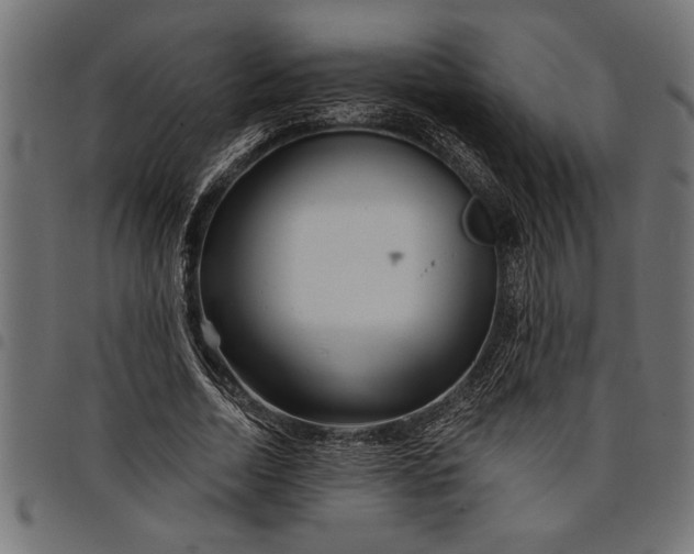 X0000097870730200803281201