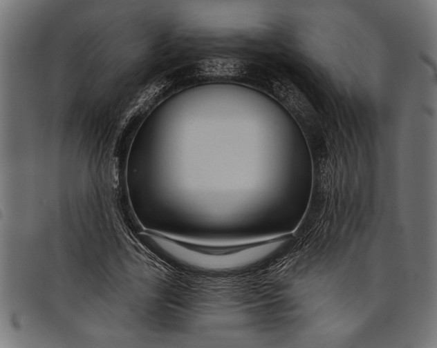 X0000097870731200803281201