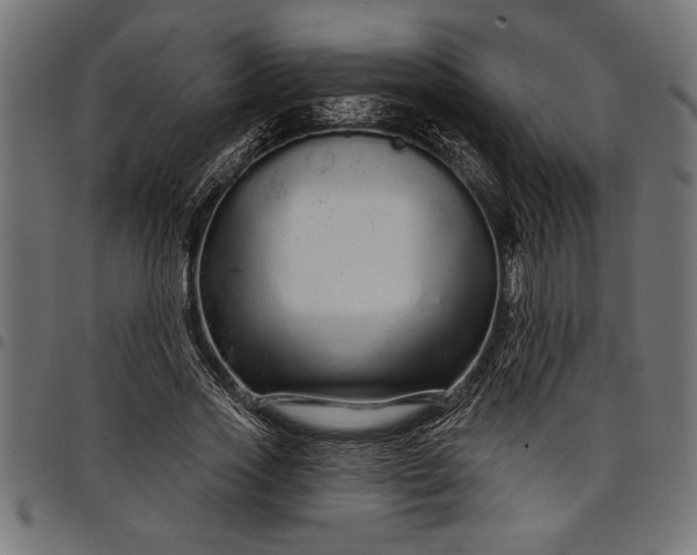 X0000097870733200803281201