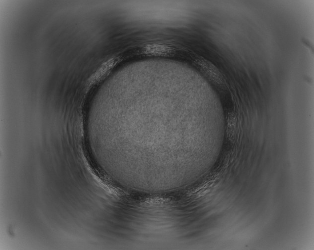 X0000097870734200803281201