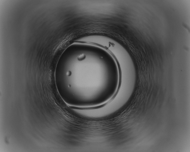 X0000097870735200803281201