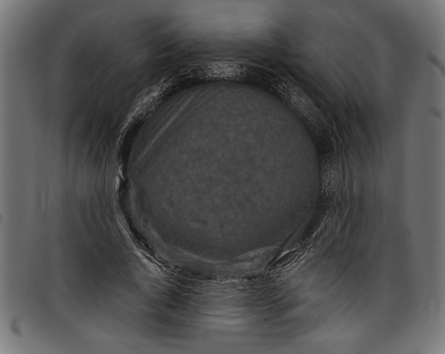 X0000097870736200803281201