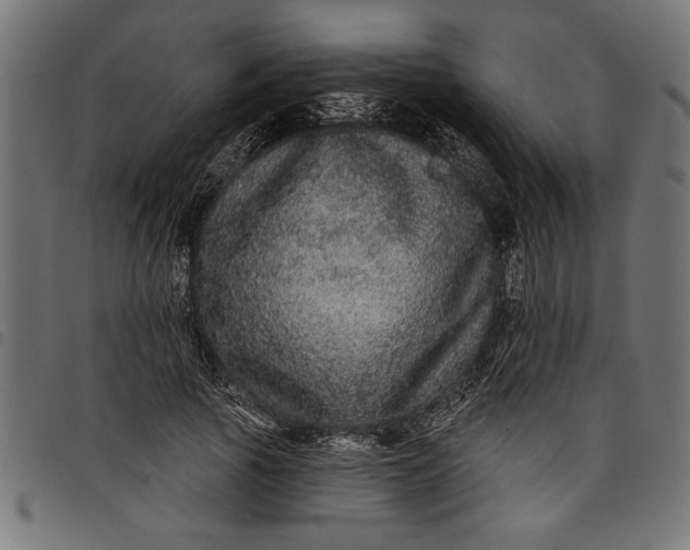 X0000097870737200803281201