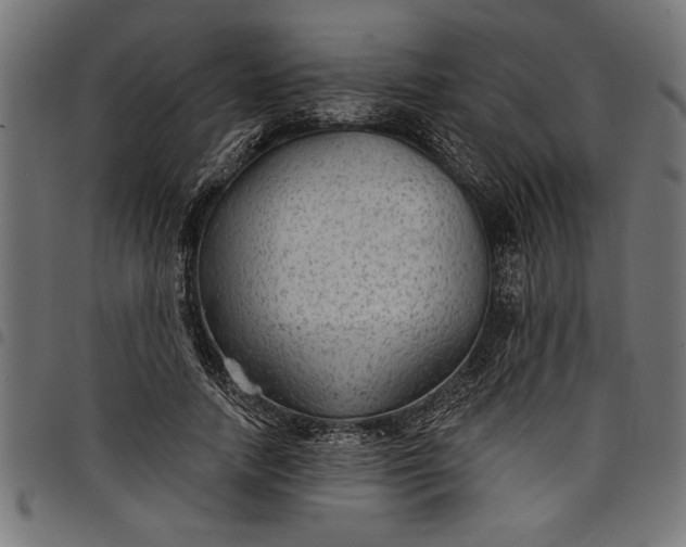 X0000097870738200803281201