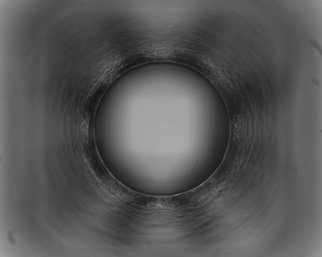 X0000097870739200803281201
