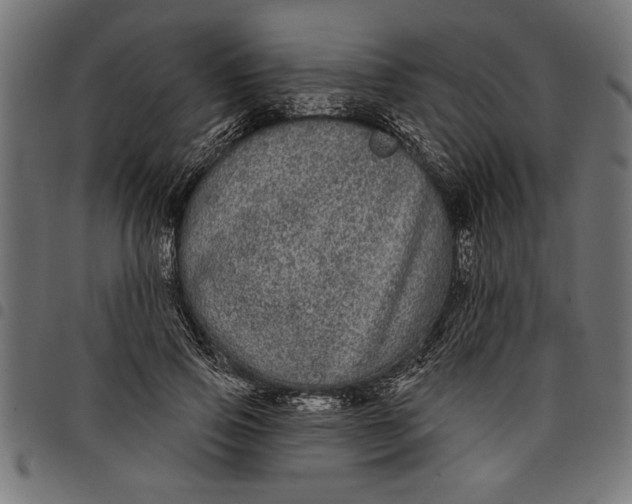 X0000097870741200803281201