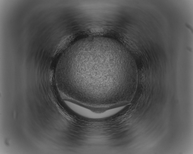 X0000097870742200803281201