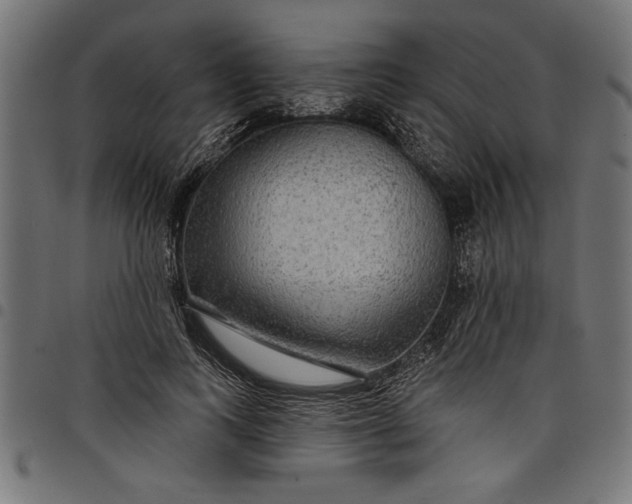 X0000097870743200803281201