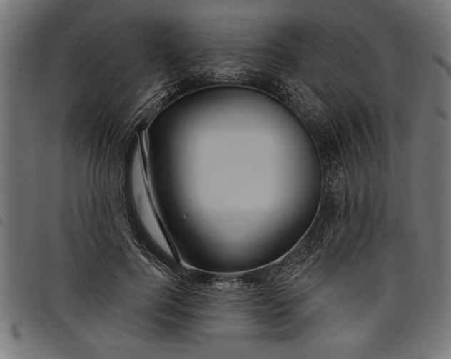 X0000097870744200803281201