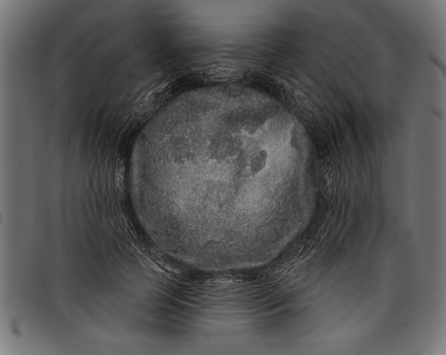 X0000097870745200803281201