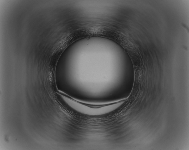 X0000097870746200803281201