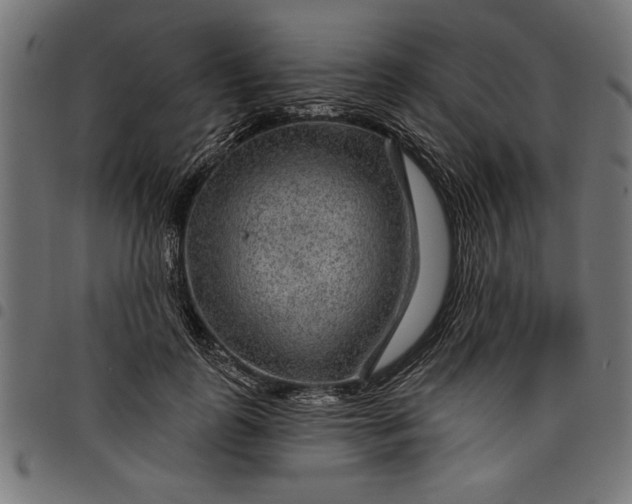 X0000097870747200803281201