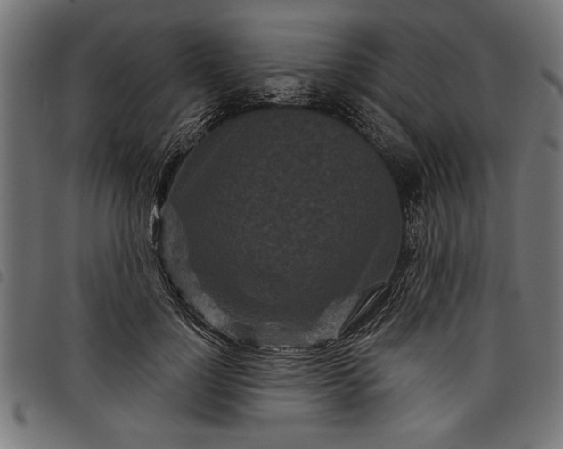 X0000097870748200803281201