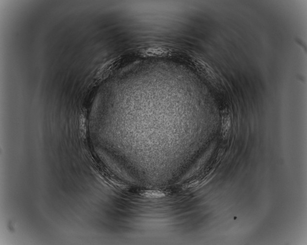 X0000097870749200803281201