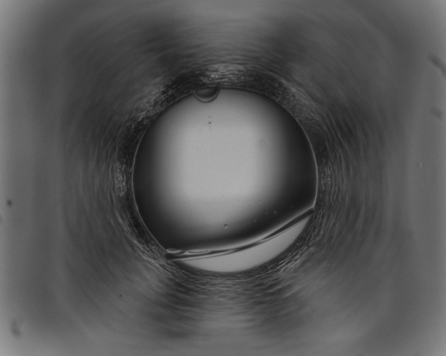 X0000097870751200803281201