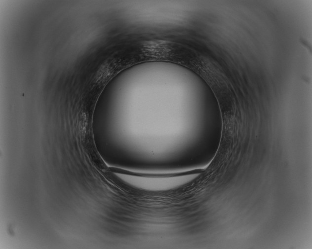 X0000097870752200803281201
