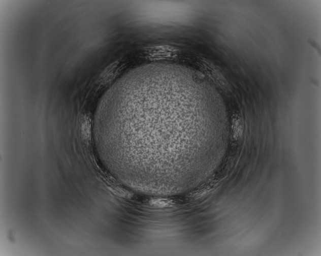 X0000097870753200803281201