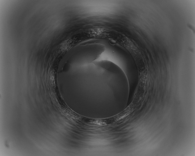 X0000097870754200803281201