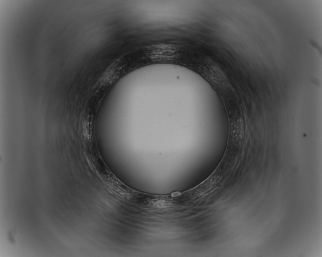 X0000097870755200803281201