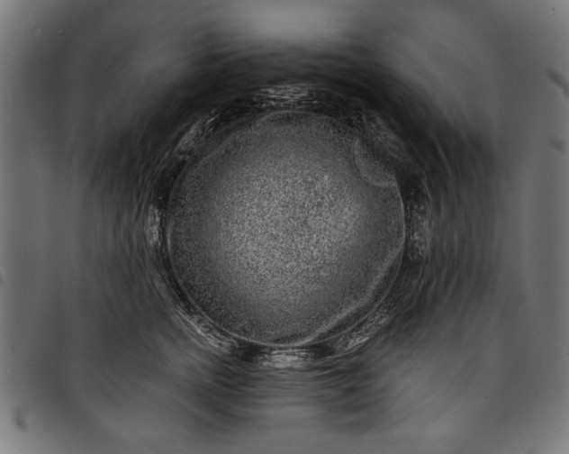 X0000097870758200803281201