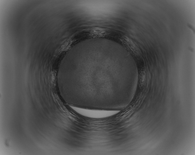 X0000097870759200803281201