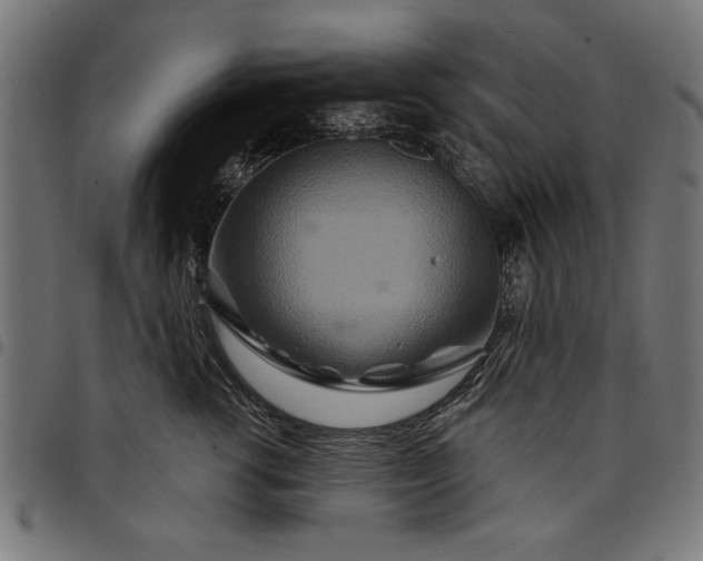 X0000097870762200803281201