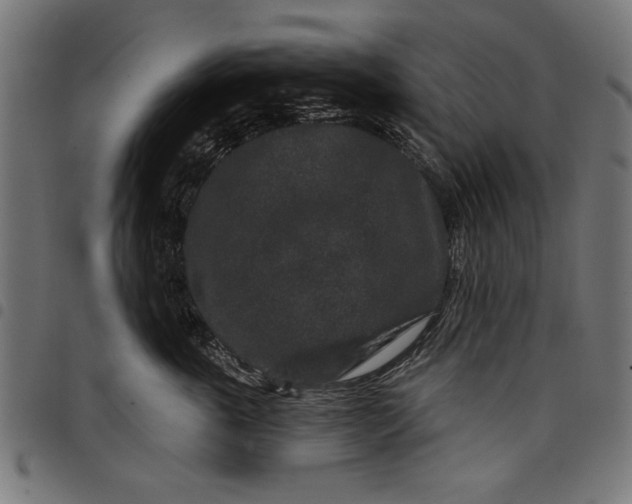 X0000097870763200803281201