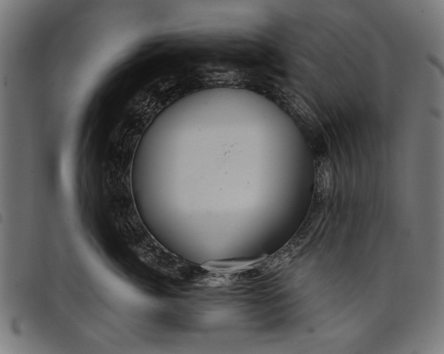 X0000097870764200803281201