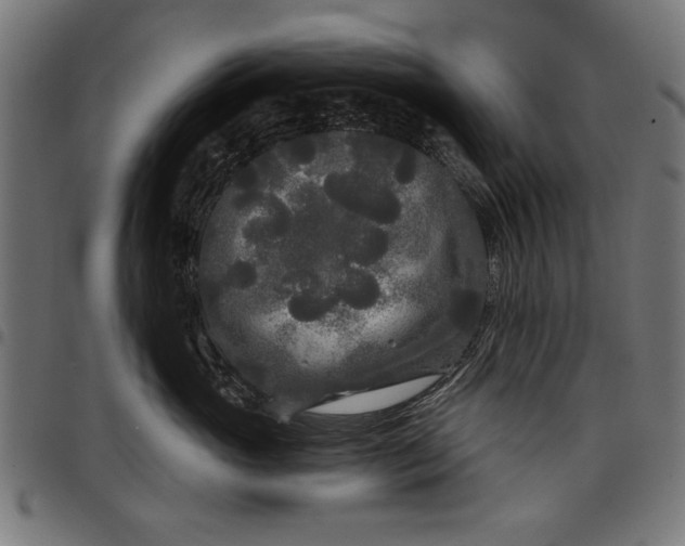 X0000097870765200803281201