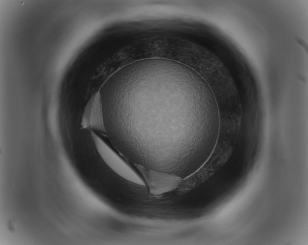 X0000097870766200803281201