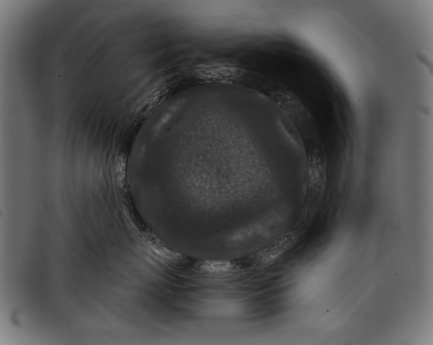 X0000097870767200803281201