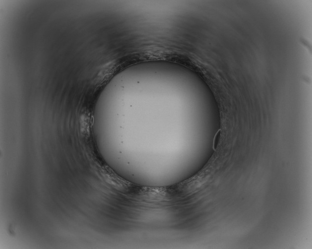 X0000097870768200803281201