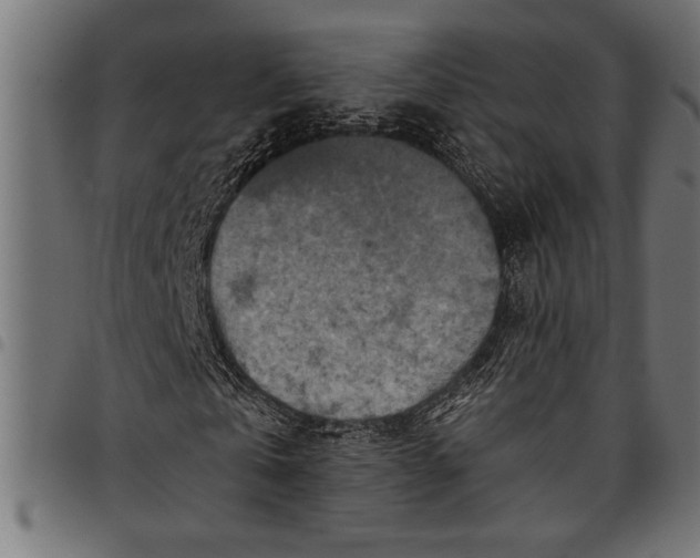 X0000097870769200803281200