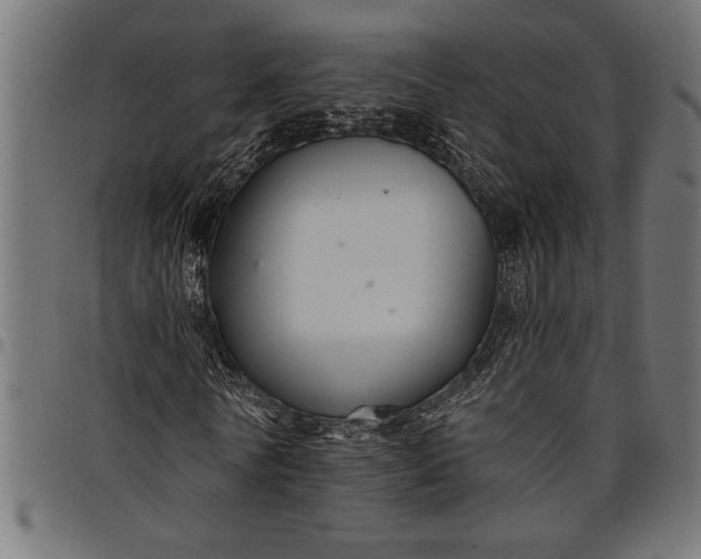X0000097870770200803281200