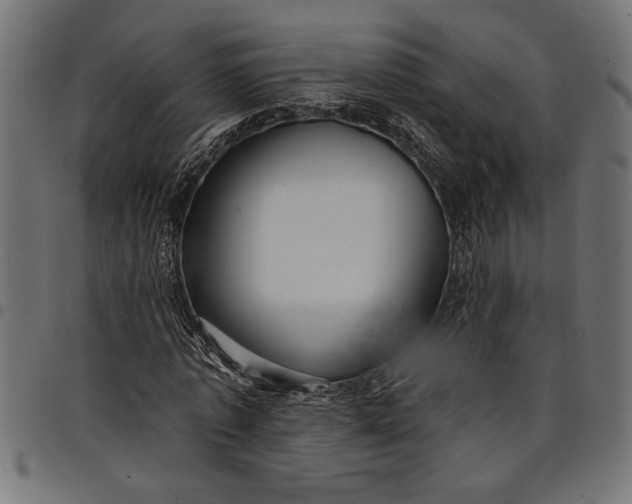 X0000097870773200803281200