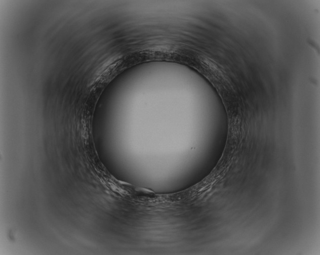 X0000097870774200803281200