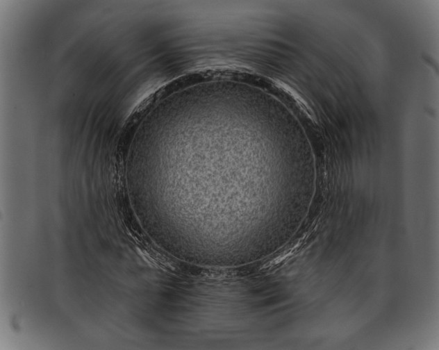 X0000097870775200803281200